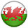 Wales Icon